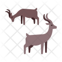 پیش‌نمایش فایل antelope-9 از پک سافاری آفریقایی