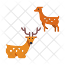 پیش‌نمایش فایل japanese-deer از پک سفر ژاپن
