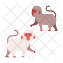 پیش‌نمایش فایل monkey-194 از پک سفر ژاپن