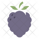 پیش‌نمایش فایل berry-42 از پک Fruit 