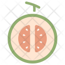 پیش‌نمایش فایل cantaloupe-16 از پک Fruit 