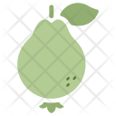 پیش‌نمایش فایل guava-16 از پک Fruit 