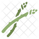 پیش‌نمایش فایل asparagus-34 از پک Vegetable 