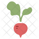 پیش‌نمایش فایل beet-74 از پک Vegetable 
