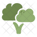 پیش‌نمایش فایل broccoli-106 از پک Vegetable 