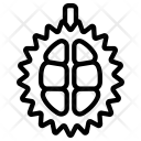 پیش‌نمایش فایل dragon-fruit-8 از پک میوه