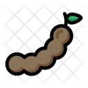 پیش‌نمایش فایل tamarind-6 از پک میوه