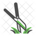 آیکن