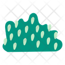 پیش‌نمایش فایل bush-9612376 از پک پارک