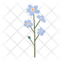 پیش‌نمایش فایل flower-9612373 از پک پارک