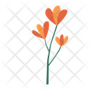 پیش‌نمایش فایل flower-9612390 از پک پارک