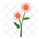 پیش‌نمایش فایل flower-9612394 از پک پارک