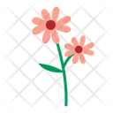پیش‌نمایش فایل flower-9612395 از پک پارک