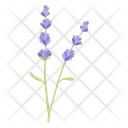 پیش‌نمایش فایل flower-9612396 از پک پارک
