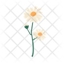 پیش‌نمایش فایل flower-9612403 از پک پارک