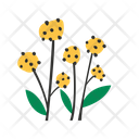 پیش‌نمایش فایل flower-9612404 از پک پارک