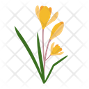 پیش‌نمایش فایل flower-9612405 از پک پارک