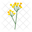 پیش‌نمایش فایل flower-9612406 از پک پارک