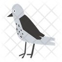 پیش‌نمایش فایل pigeon-9612412 از پک پارک