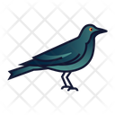 پیش‌نمایش فایل crow-29 از پک هالووین