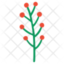 پیش‌نمایش فایل holly-10693556 از پک اشیا زمستانی