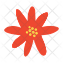 پیش‌نمایش فایل poinsettia-flower-10693571 از پک اشیا زمستانی