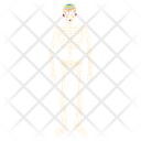 پیش‌نمایش فایل skeleton-10813781 از پک المان‌های مورتوس لوس د دیا