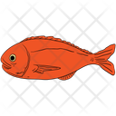 پیش‌نمایش فایل fish-10702540 از پک بازار ماهی