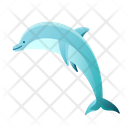 پیش‌نمایش فایل dolphin-1663227 از پک تابستان - گرادیانی – سبک زندگی آرام