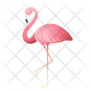 پیش‌نمایش فایل flamingo-1663225 از پک تابستان - گرادیانی – سبک زندگی آرام