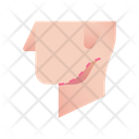 پیش‌نمایش فایل jaw-1666599 از پک جراحی پلاستیک