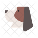 پیش‌نمایش فایل basset-hound-1666389 از پک نژاد سگ