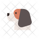 پیش‌نمایش فایل beagle-1666388 از پک نژاد سگ