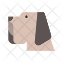 پیش‌نمایش فایل bloodhound-1666386 از پک نژاد سگ