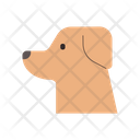 پیش‌نمایش فایل labrador-1666371 از پک نژاد سگ