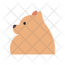 پیش‌نمایش فایل pomeranian-1666369 از پک نژاد سگ