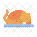 پیش‌نمایش فایل furry-cat-1975547 از پک هوگه