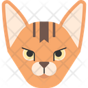 پیش‌نمایش فایل abyssinnian-cat-1975262 از پک نژاد گربه