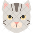 پیش‌نمایش فایل american-shorthair-1975261 از پک نژاد گربه