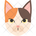 پیش‌نمایش فایل japanese-bobtail-1975253 از پک نژاد گربه