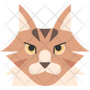 پیش‌نمایش فایل maine-coon-1975277 از پک نژاد گربه