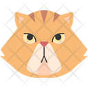 پیش‌نمایش فایل persian-cat-1975273 از پک نژاد گربه
