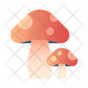 پیش‌نمایش فایل mushrooms-1975221 از پک کمپینگ