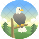 پیش‌نمایش فایل eagle-1974439 از پک آمریکا