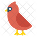 پیش‌نمایش فایل cardinal-3097457 از پک کریسمس