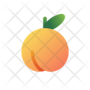 پیش‌نمایش فایل apricot-3144334 از پک میوه