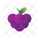 پیش‌نمایش فایل blackberry-3144337 از پک میوه