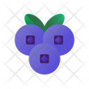 پیش‌نمایش فایل blueberry-3144338 از پک میوه