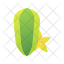 پیش‌نمایش فایل carambola-3144339 از پک میوه