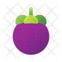 پیش‌نمایش فایل mangosteen-3144353 از پک میوه